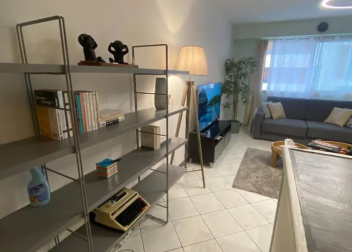 Grand Tres Bien Situe! Apartamento Nice