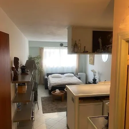 Grand Tres Bien Situe! * ニース